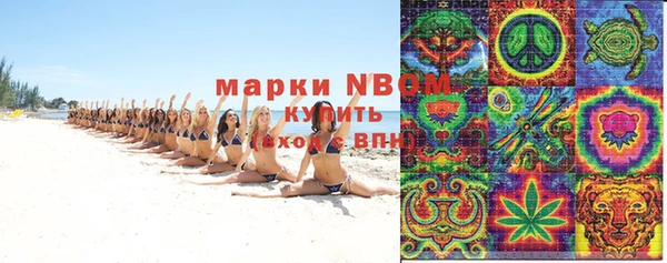 дмт Алзамай
