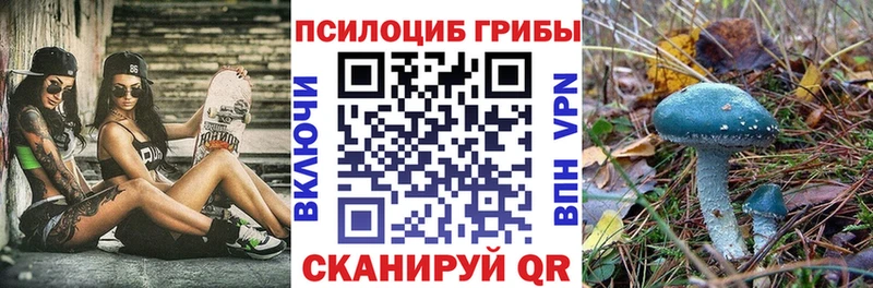 МЕГА ONION  Чухлома  Псилоцибиновые грибы мицелий 